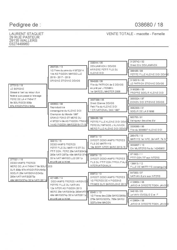 38680 PEDIGREE