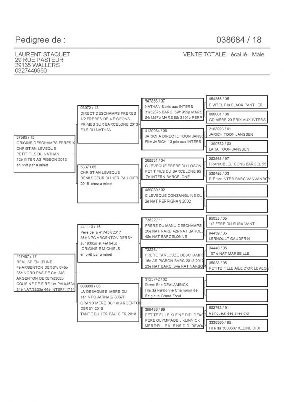 38684 PEDIGREE