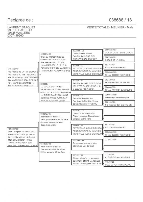 38688 PEDIGREE