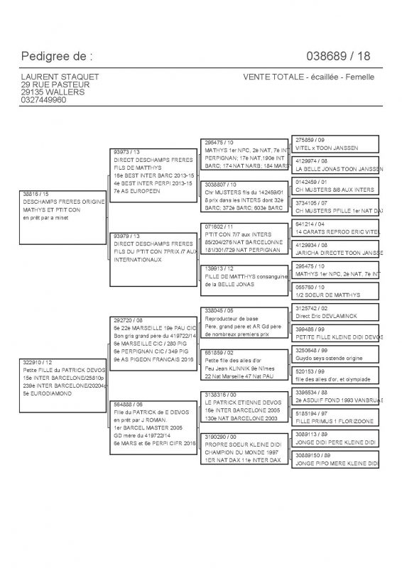 38689 PEDIGREE