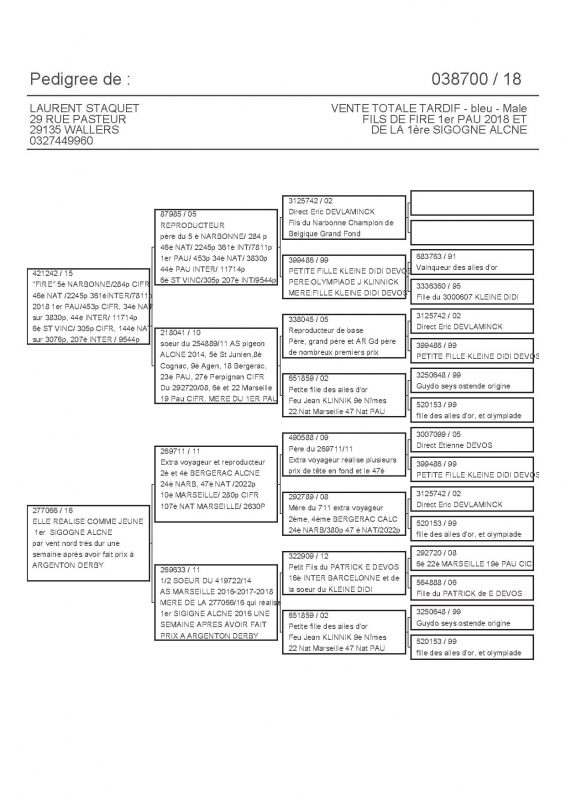 38700 PEDIGREE