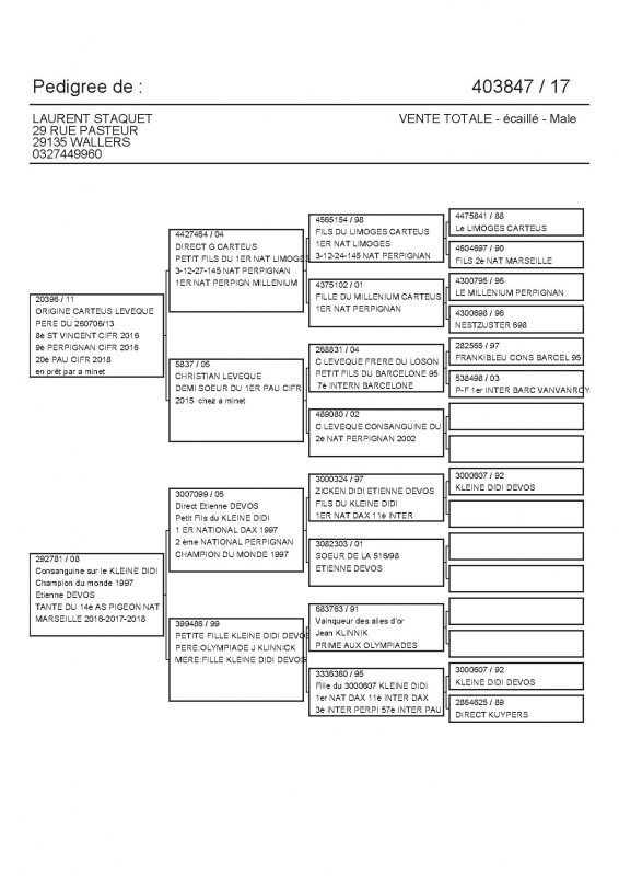 403847 PEDIGREE