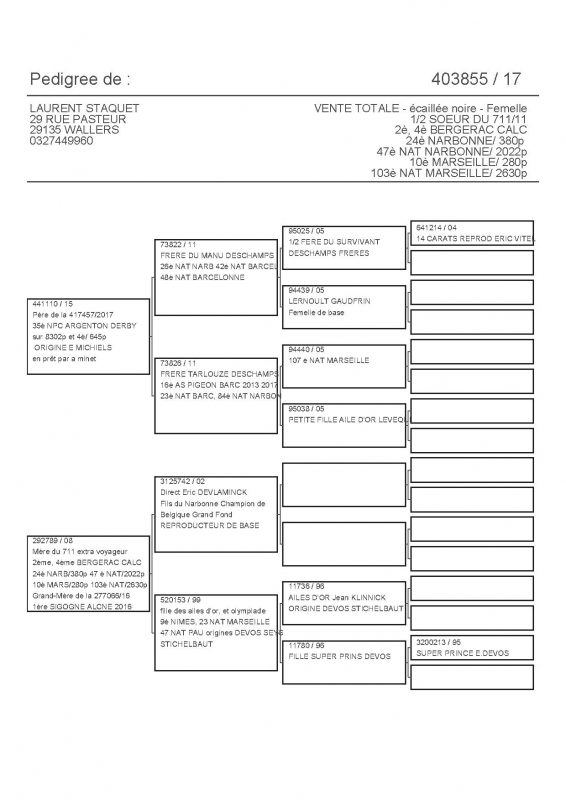 403855 PEDIGREE