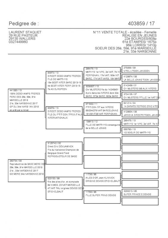 403859 PEDIGREE