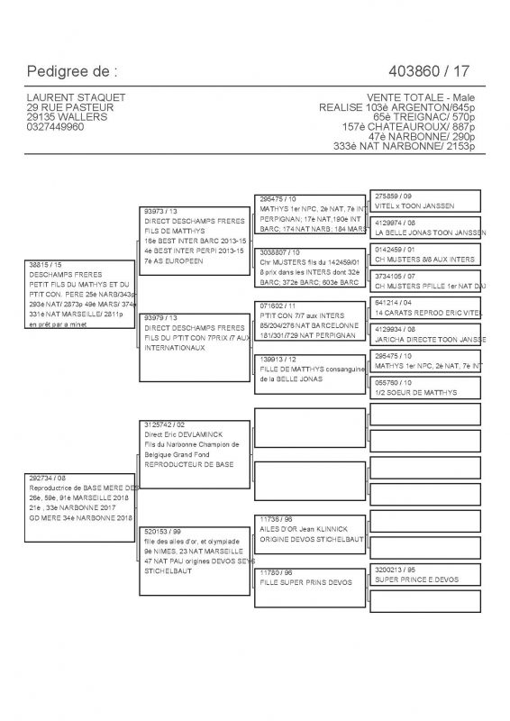 403860 PEDIGREE