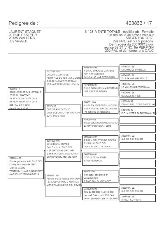 403863 PEDIGREE