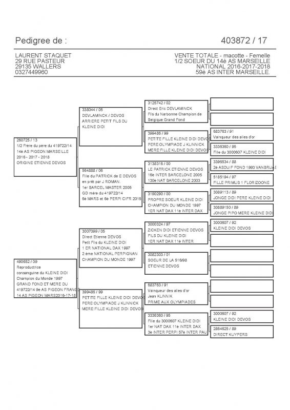 403872 PEDIGREE