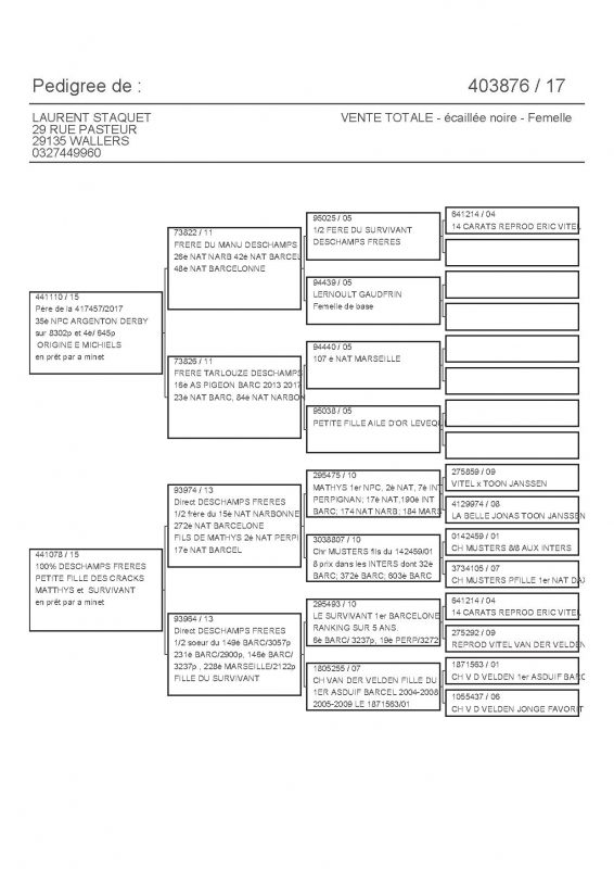 403876 PEDIGREE