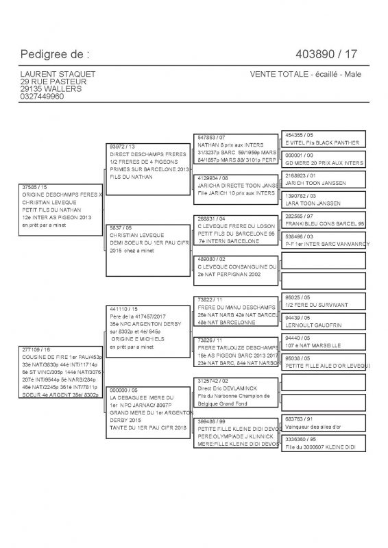 403890 PEDIGREE