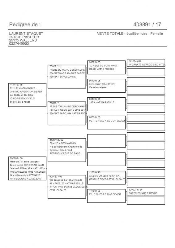 403891 PEDIGREE