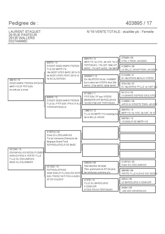 403895 PEDIGREE