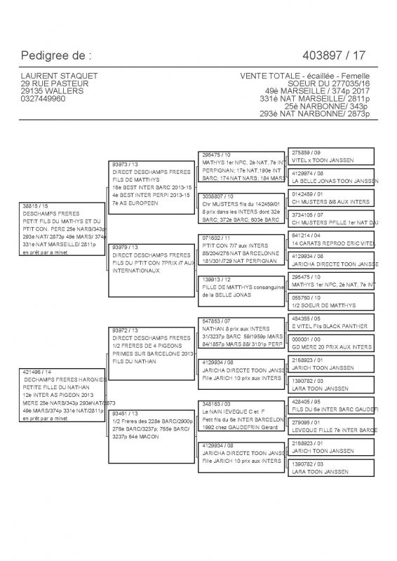 403897 PEDIGREE