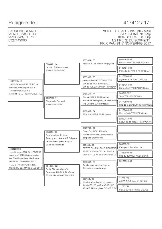 417412 PEDIGREE