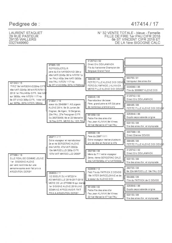 417414 PEDIGREE