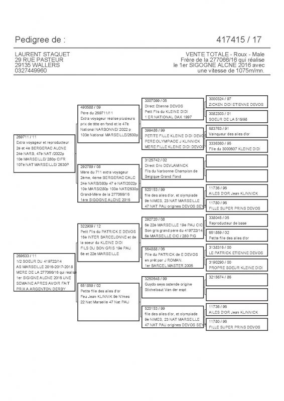 417415 PEDIGREE