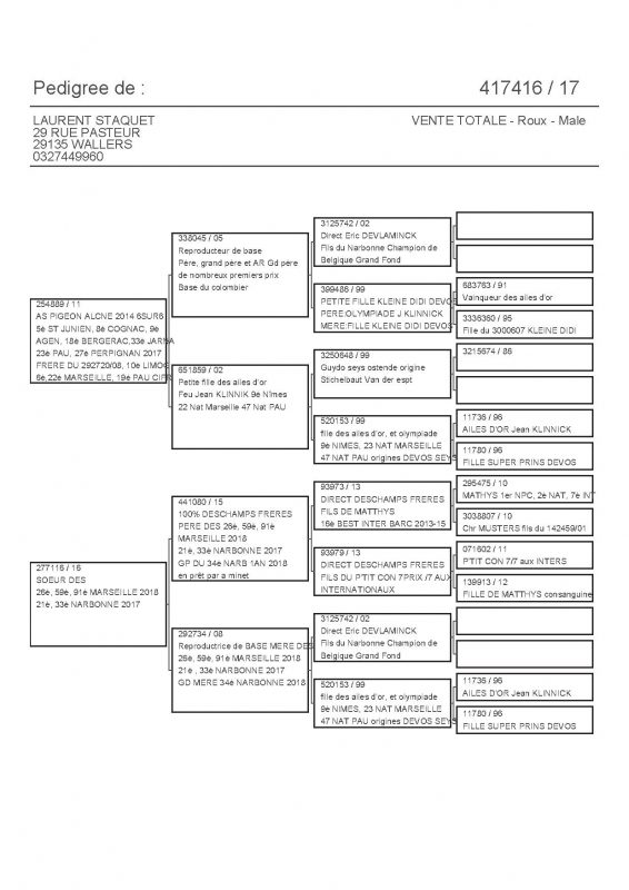 417416 PEDIGREE