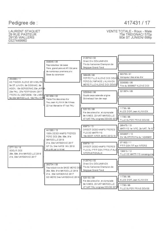 417431 PEDIGREE