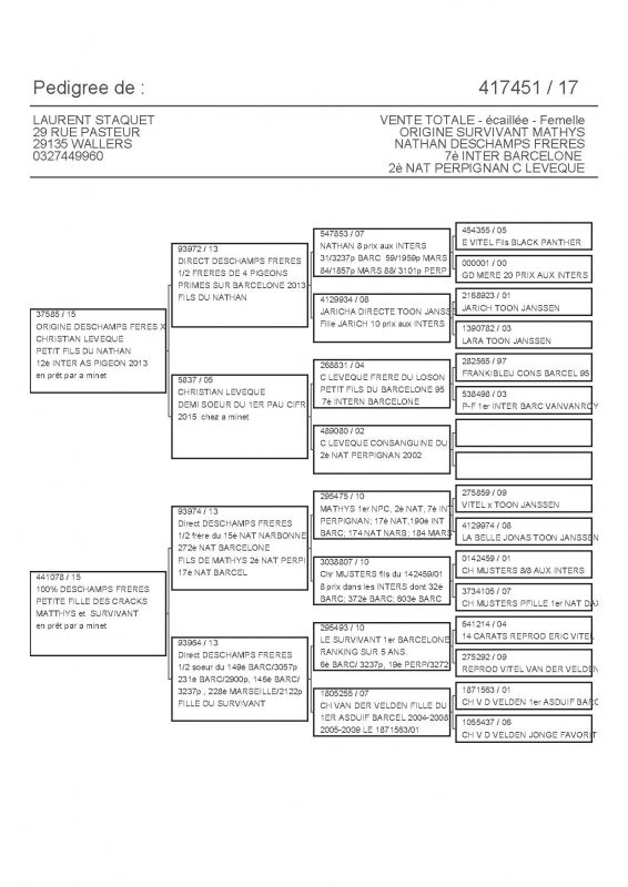 417451 PEDIGREE