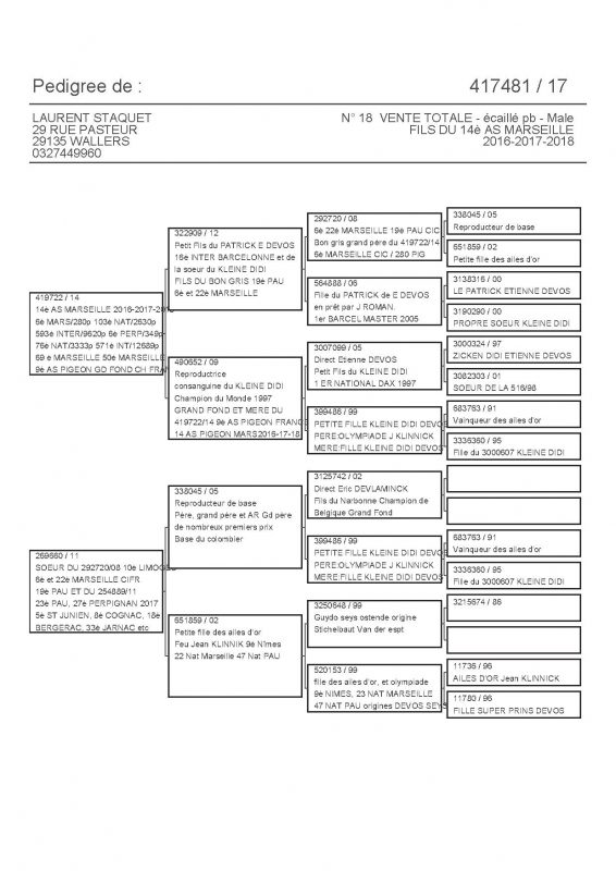 417481 PEDIGREE