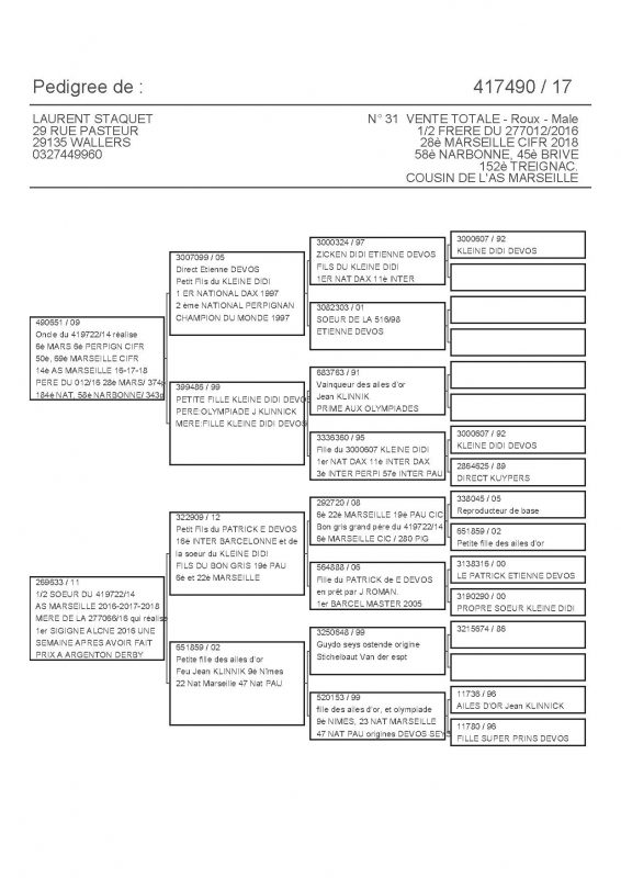 417490 PEDIGREE