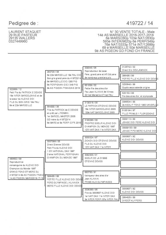 419722 PEDIGREE