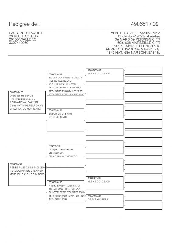 490651 PEDIGREE