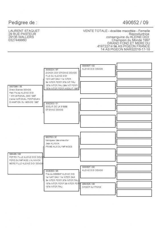 490652 PEDIGREE