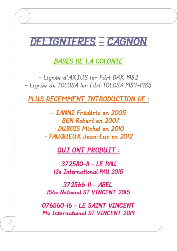 Cagnon presentation colonie