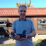 Vente : Daniel DOMINIQUE de 67250  RETSCHWILLER  :  11 jeunes 2019 mi-saisons et tardifs