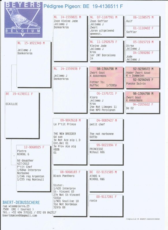 bd_4136511-2019Ped