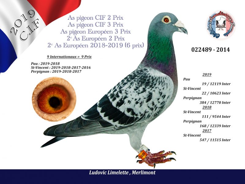 022489 limelette r1