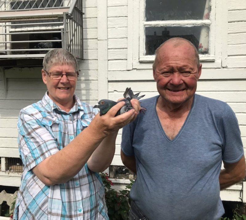 N° 26 : LESSENCE Henri et Evelyne de Lozinghem