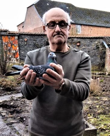 N° 26 : : Segers Claude