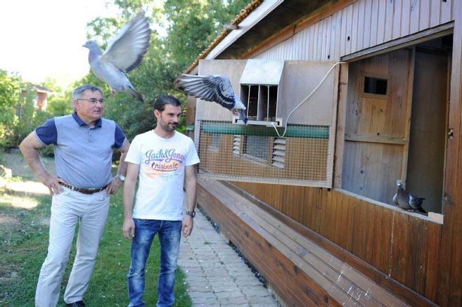 N° 34 : Yves Andrieux