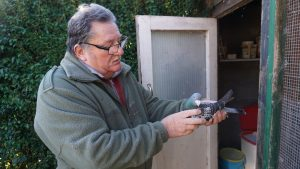 N° 7 : Herman-Van Dist (Halluin, France)