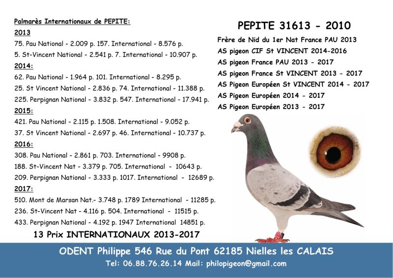 Odent pepite palmares inter pour pigeon 5