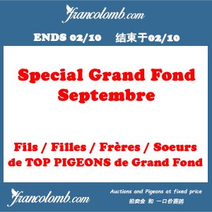 Ventes Speciales Grand Fond de Septembre & Fond Octobre