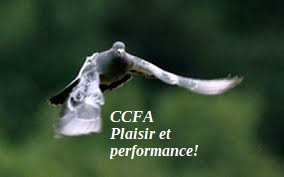 Pré-Vente : CCFA