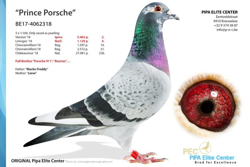 pec_prince porsche BE17-4062318