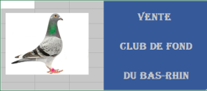Pré-Vente : Fond Club du BAS-RHIN