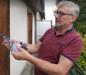 N° 15 : Philippe LECLERC