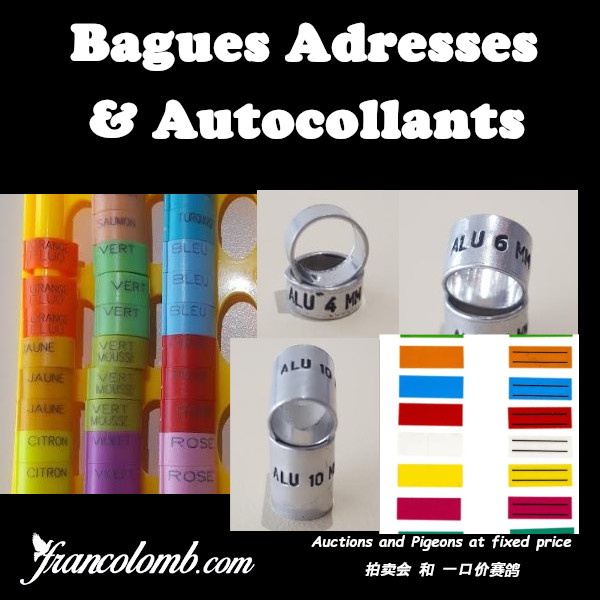 Fr vente 2022 baguesadresses