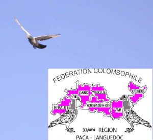 Vente de Bons : 15ème Région Colombophile