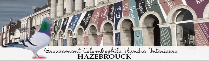 Pré-Vente : Groupement d&rsquo;HAZEBROUCK