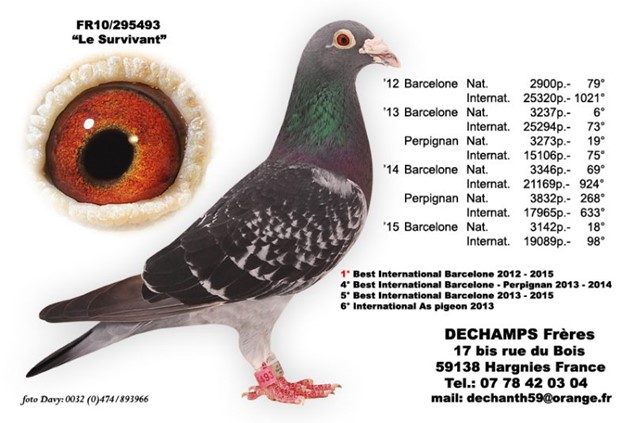 DECHAMPS LE SURVIVANT