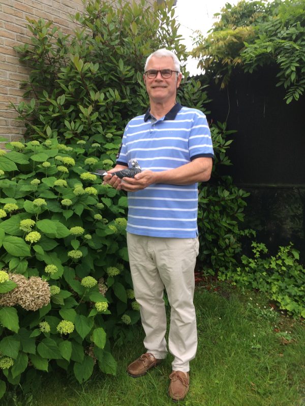 N° 7 : Emile BAILLY de RONCQ