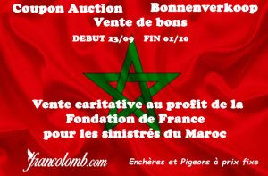 Vente de Bons : Fondation de France au profit des sinitrés du Maroc
