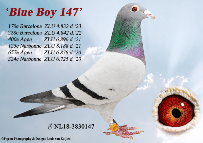2023-10-25 08_57_00-BlueBoy 147.jpg