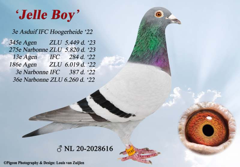2023-10-25 08_57_43-JelleBoy.jpg