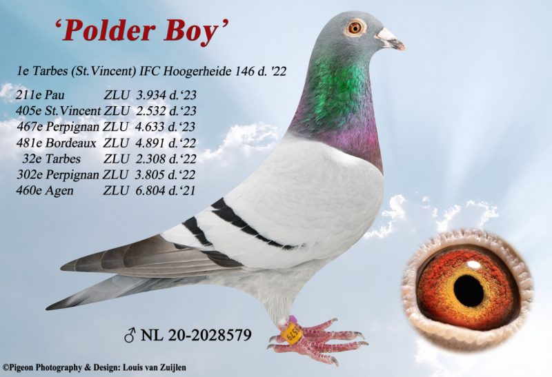 2023-10-25 08_58_10-PolderBoy